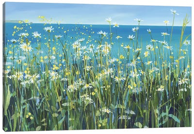 Charlock And Daisies Canvas Art Print - Claire Henley