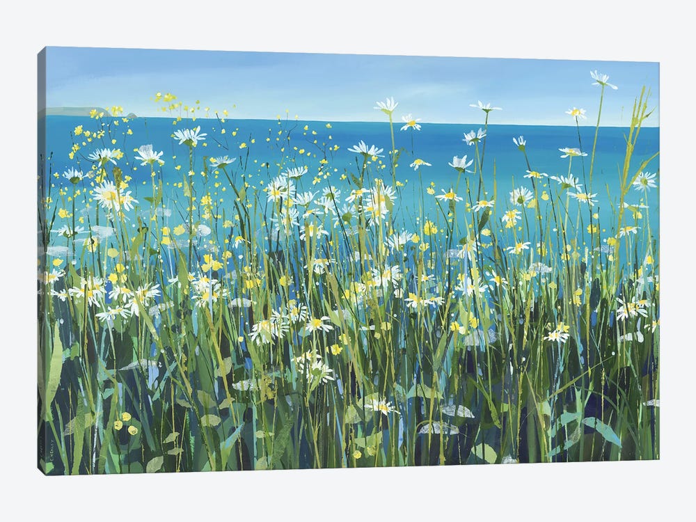 Charlock And Daisies by Claire Henley 1-piece Canvas Art