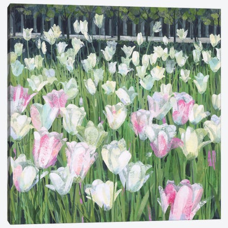 Tulips At The Palais Royal Canvas Print #HYC37} by Claire Henley Canvas Art
