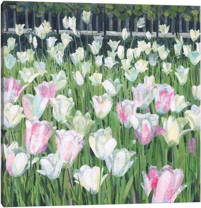 Tulips At The Palais Royal Canvas Art Print - Claire Henley