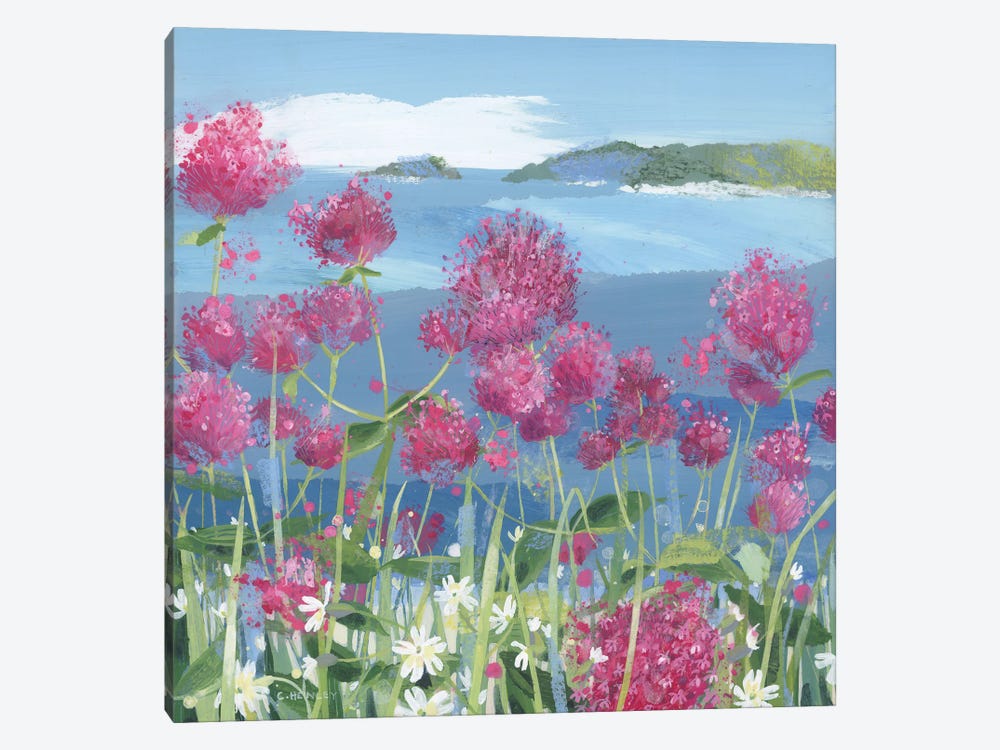Red Valerian And Campion by Claire Henley 1-piece Canvas Wall Art