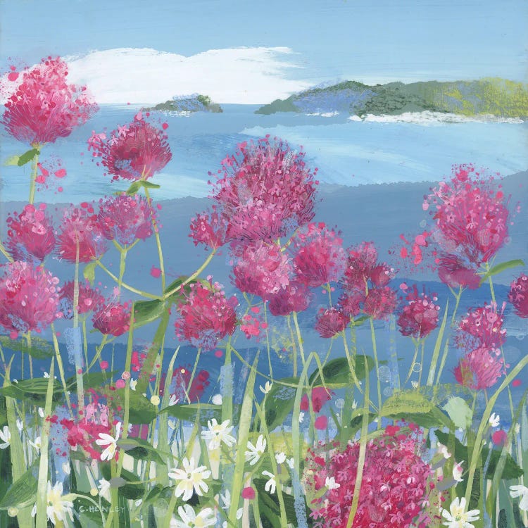 Red Valerian And Campion by Claire Henley wall art