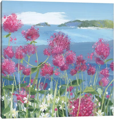 Red Valerian And Campion Canvas Art Print - Claire Henley