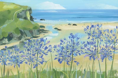 Agapanthus At Mawgan Porth by Claire Henley framed canvas print