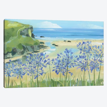 Agapanthus At Mawgan Porth Canvas Print #HYC44} by Claire Henley Canvas Art Print