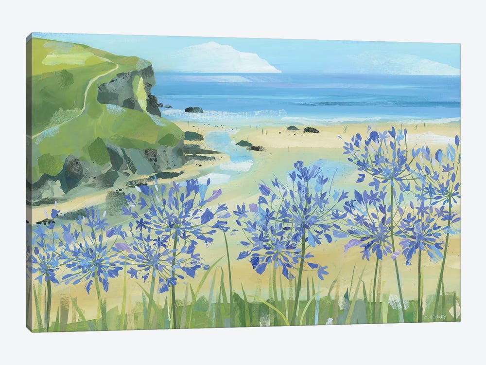 Agapanthus At Mawgan Porth by Claire Henley 1-piece Art Print
