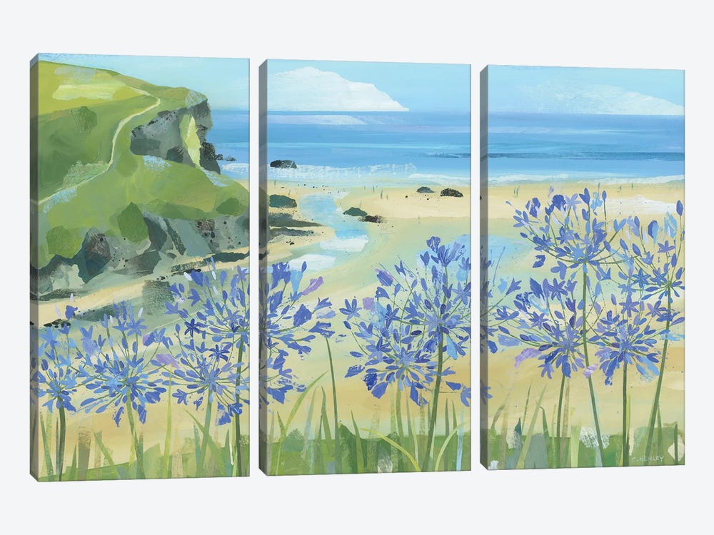 Agapanthus At Mawgan Porth by Claire Henley 3-piece Art Print
