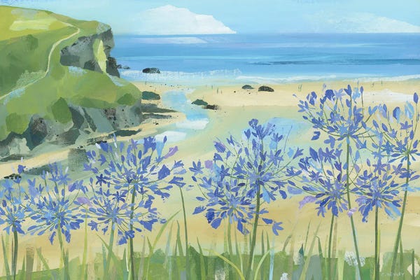 Claire Henley: Agapanthus At Mawgan Porth by Claire Henley