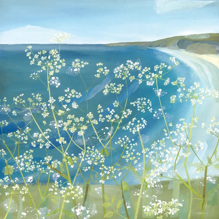 Cliff Top Cow Parsley