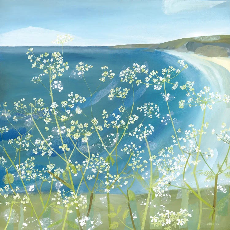 Cliff Top Cow Parsley by Claire Henley wall art