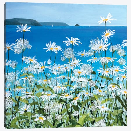 Daisies And Valerian, Gerrans Bay Canvas Print #HYC47} by Claire Henley Art Print