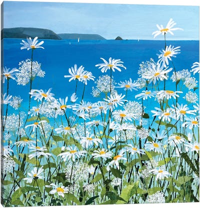 Daisies And Valerian, Gerrans Bay Canvas Art Print - Claire Henley