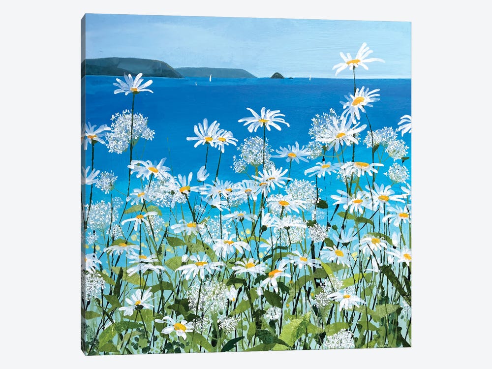 Daisies And Valerian, Gerrans Bay by Claire Henley 1-piece Canvas Art