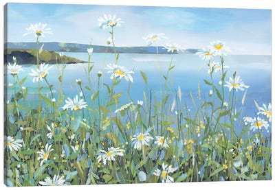 Daisies, Portscatho Canvas Art Print - Claire Henley