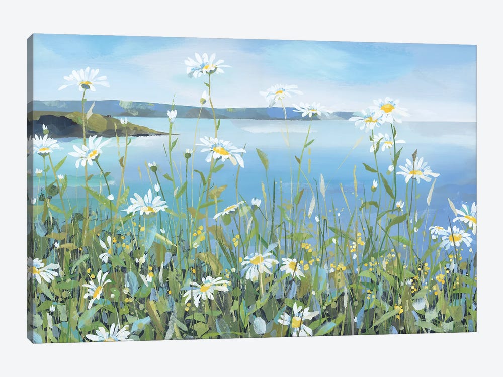 Daisies, Portscatho by Claire Henley 1-piece Canvas Artwork