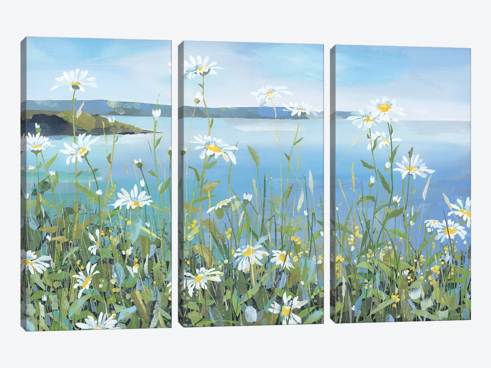 Daisies, Portscatho by Claire Henley 3-piece Canvas Art