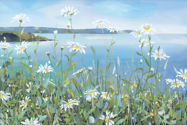 Claire Henley: Daisies, Portscatho by Claire Henley