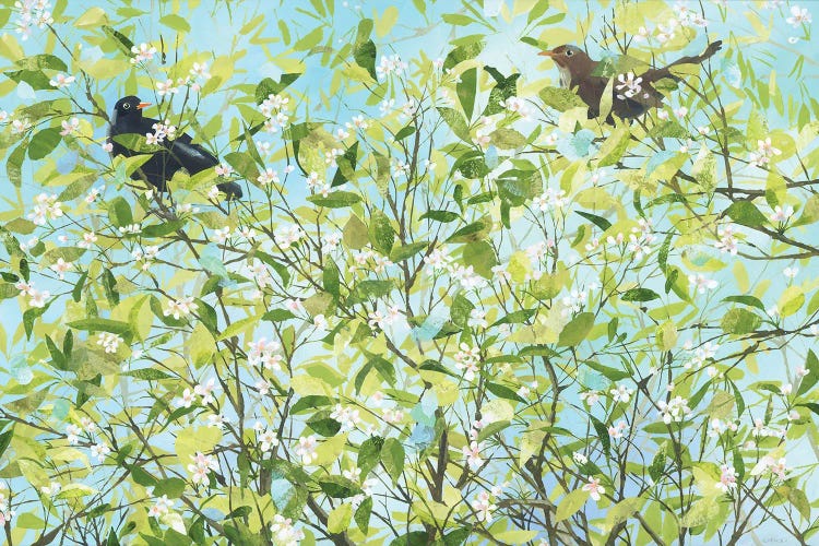 Blackbird Love by Claire Henley wall art