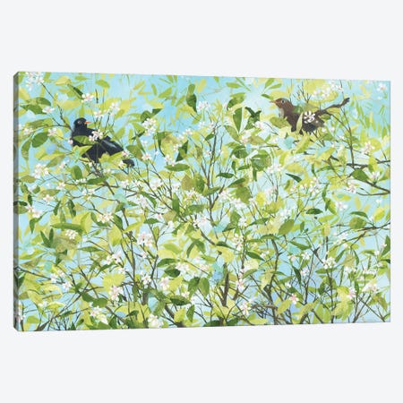 Blackbird Love Canvas Print #HYC51} by Claire Henley Canvas Art Print