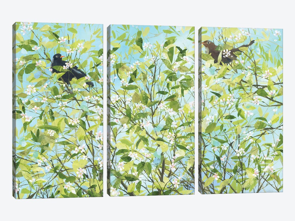Blackbird Love by Claire Henley 3-piece Canvas Print