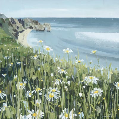 Dorset Coast Daisies by Claire Henley framed canvas print