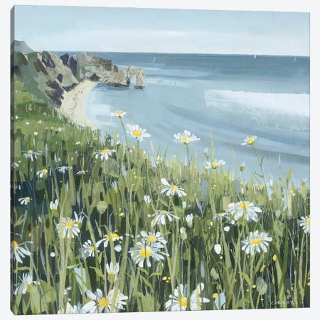 Dorset Coast Daisies Canvas Print #HYC54} by Claire Henley Canvas Art