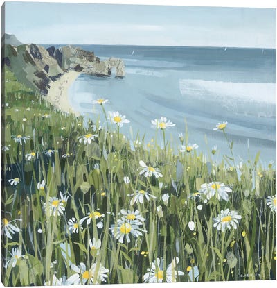 Dorset Coast Daisies Canvas Art Print - Cottagecore Goes Coastal