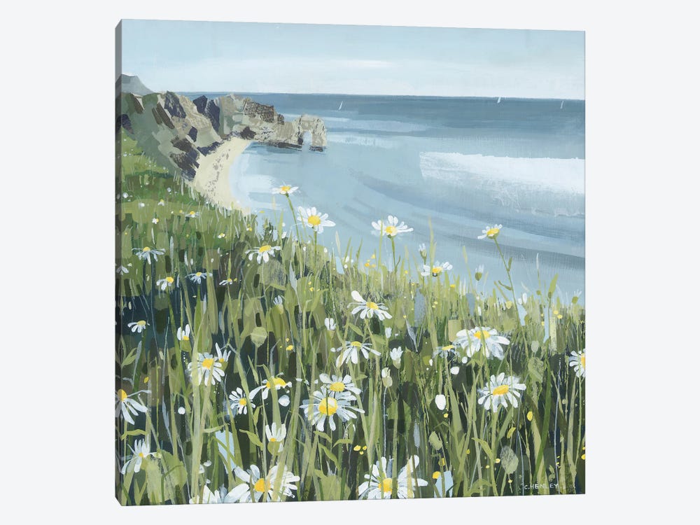 Dorset Coast Daisies by Claire Henley 1-piece Canvas Wall Art