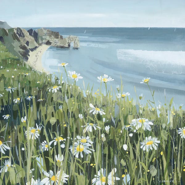 Claire Henley: Dorset Coast Daisies by Claire Henley