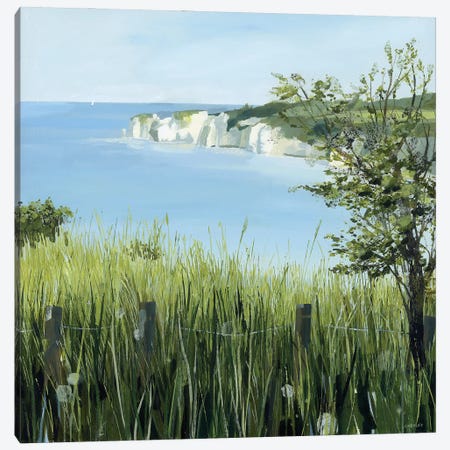 Light On Studland Bay Canvas Print #HYC55} by Claire Henley Canvas Artwork