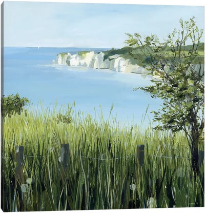 Light On Studland Bay Canvas Art Print - Claire Henley