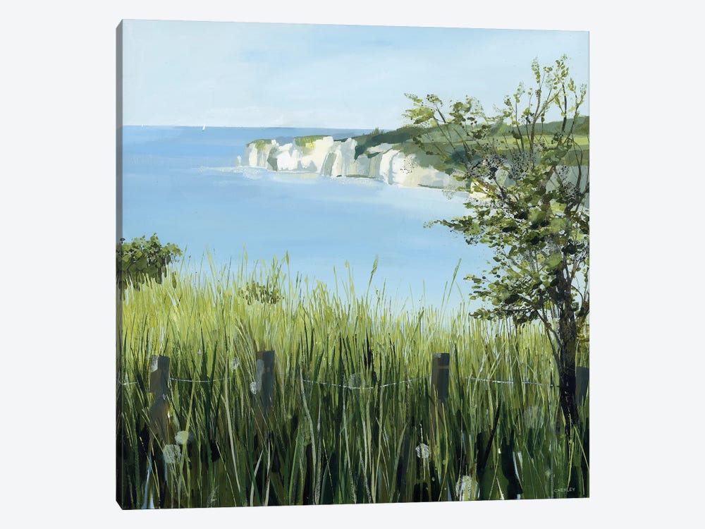 Light On Studland Bay by Claire Henley 1-piece Canvas Print