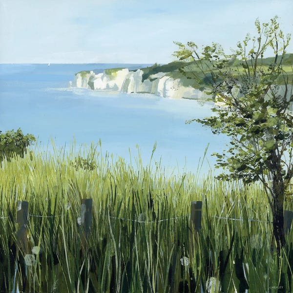 Claire Henley: Light On Studland Bay by Claire Henley