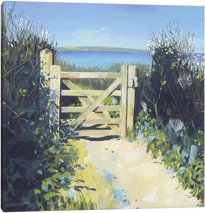 Coast Path, Cornwall Canvas Art Print - United Kingdom Art