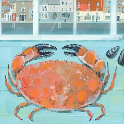 Padstow Crab by Claire Henley canvas print