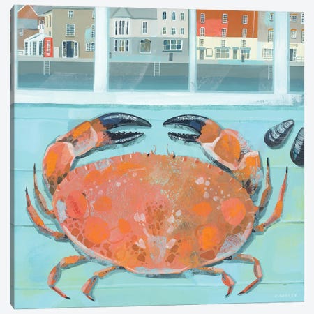 Padstow Crab Canvas Print #HYC67} by Claire Henley Art Print