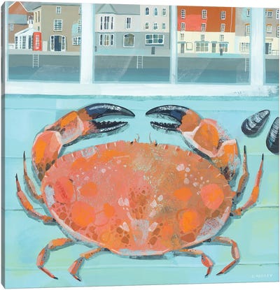 Padstow Crab Canvas Art Print - Crab Art