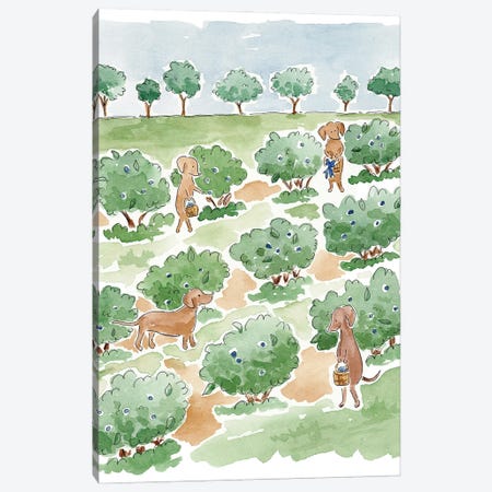 Dog Days Of Summer Canvas Print #HYD17} by Sarah Hayden Art Print
