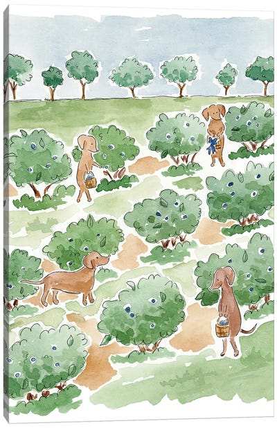 Dog Days Of Summer Canvas Art Print - Vineyard Art