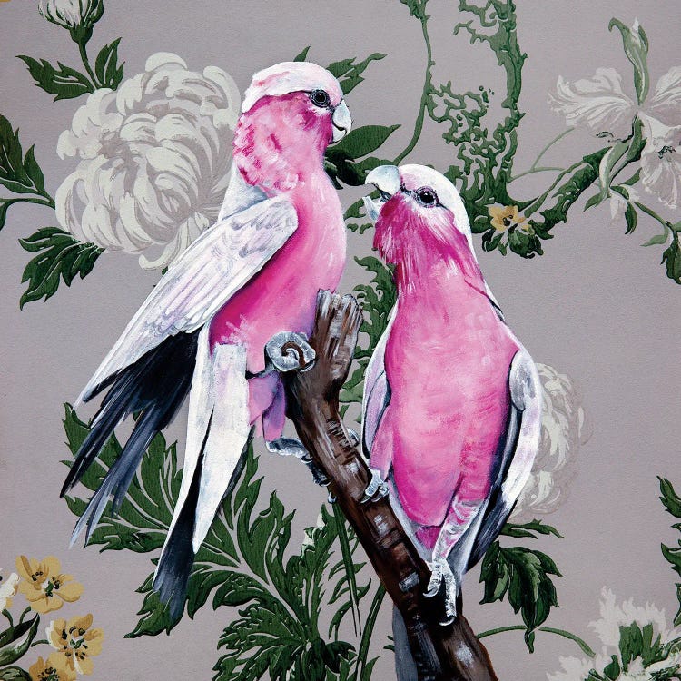 Vintage Galahs