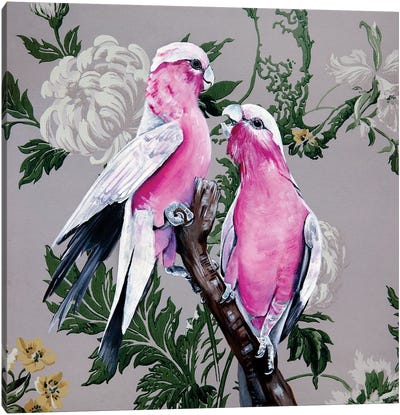 Vintage Galahs Canvas Art Print - Love Birds