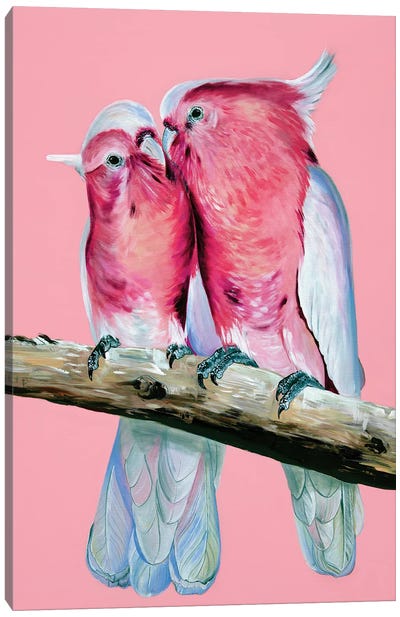 Major Cute Major Mitchells Canvas Art Print - Cockatoo Art