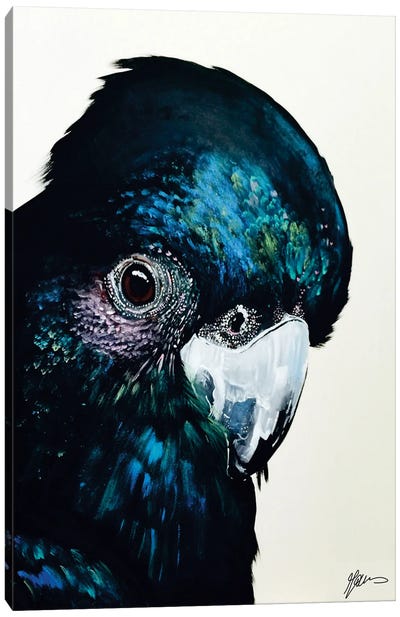 Freddy Canvas Art Print - The Art of the Feather