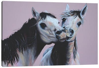 Kissing Horses Canvas Art Print - Heylie Morris