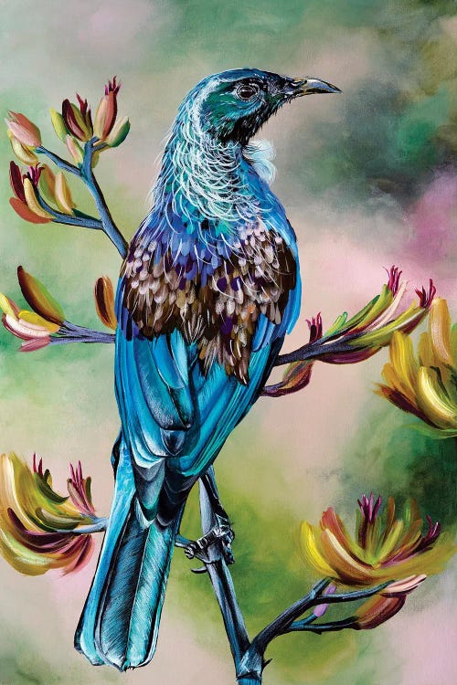 Tui