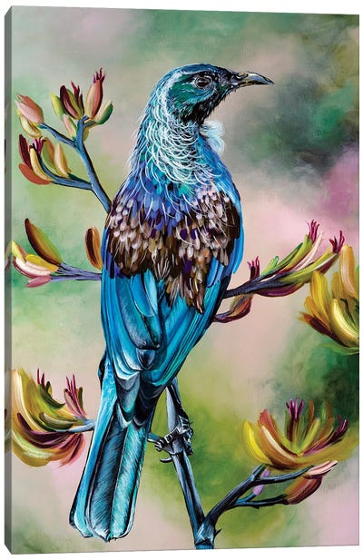 Tui Canvas Art Print - The Art of the Feather