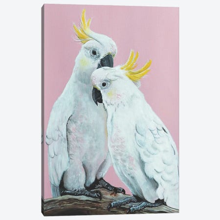 White Sulphur Cockatoos Canvas Print #HYM30} by Heylie Morris Art Print