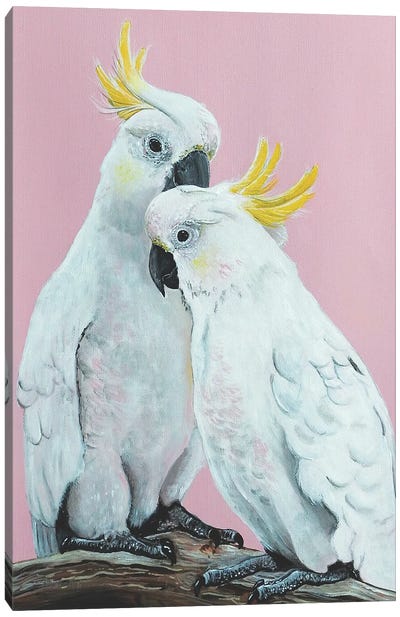 White Sulphur Cockatoos Canvas Art Print - Love Birds
