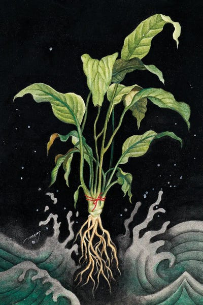 Fine Art Print: A Solid Individual-Plant by Hyesoo Han