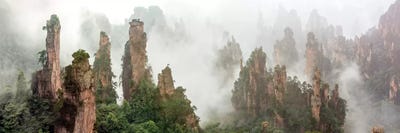 Hua Zhu